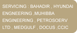 Servicing: British Gas, British Telecom, Welsh Water and Manweb.