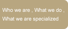 Who we are, where we are based and what we do.